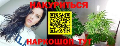 молекула духа Будённовск