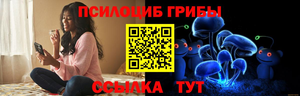 как найти закладки  Галлюциногенные грибы Psilocybe  Галлюциногенные грибы прущие грибы  Вход с VPN  Красноярск 