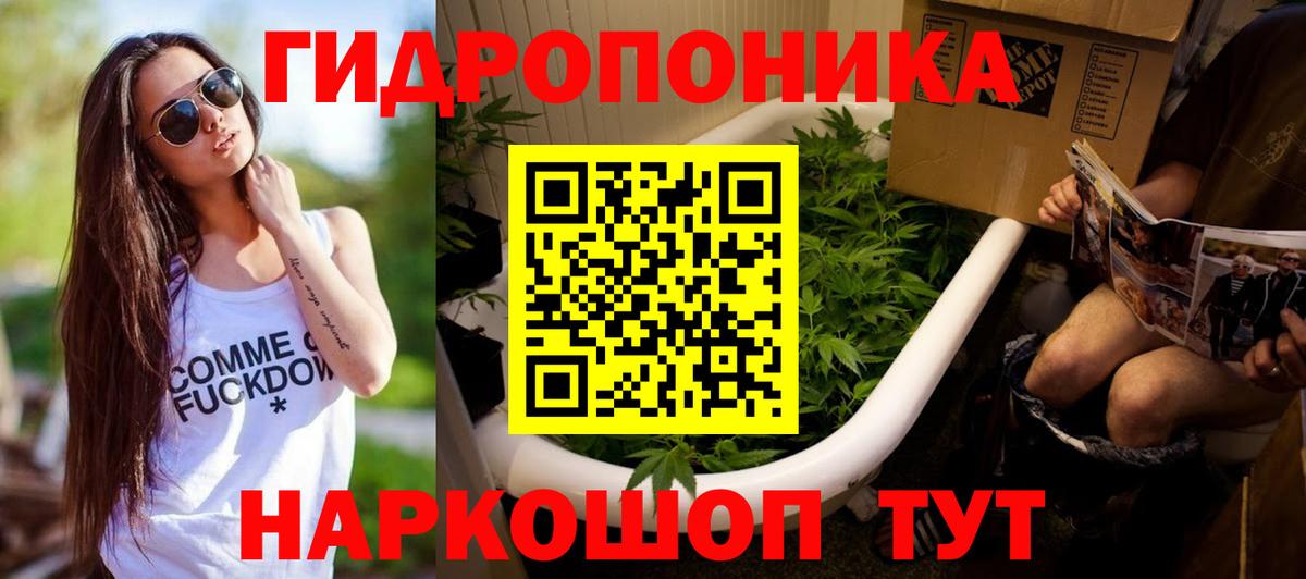 Марихуана планчик Красноярск